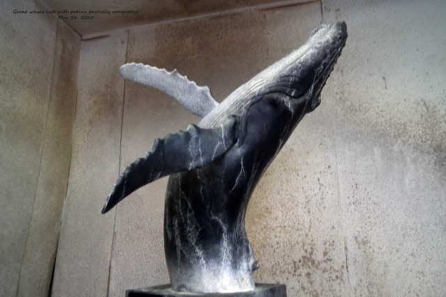 Maquette of whale cast in bronze, edition of 25 for Tahku, life-scale humpback whale, Juneau, Alaska